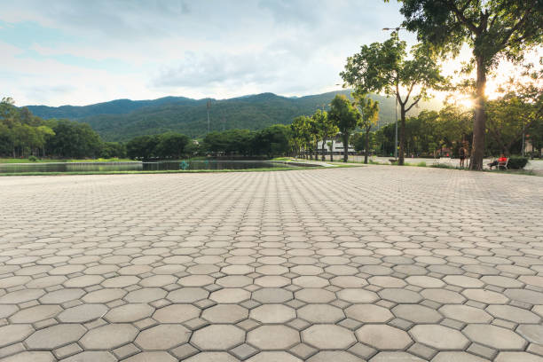 Best Commercial Driveway Pavers  in Parkwood, WA